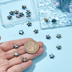 20 шт. нити бусин из натуральной ракушки пауа BSHE-GA0001-02