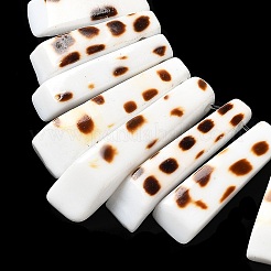 Прямоугольная натуральная ракушка conus eburneus SSHEL-P002-05A