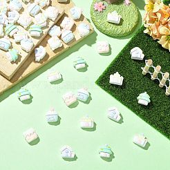 ミニ不透明樹脂カボション  ハウス  ミックスカラー  12~13x13.5~15.5x7.5~8.5mm&nbsp;RESI-CJC0011-74