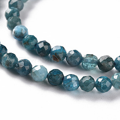 Perline apatite naturale fili&nbsp;X-G-S362-110C