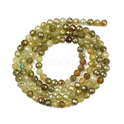 Naturelles grenat vert brins de perles&nbsp;G-B181-A01-3mm
