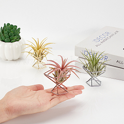 6 шт. двухцветный держатель для блендера из углеродистой стали AJEW-GA0002-99