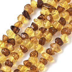 Янтарные шарики нити G-L095-E01-03