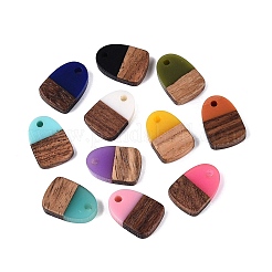 Pendentifs en résine opaque et bois de noyer&nbsp;RESI-N053-32