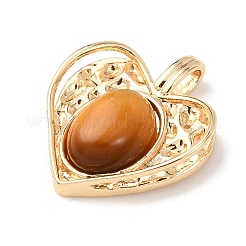 Природных тигровый глаз подвески&nbsp;KK-A279-14G