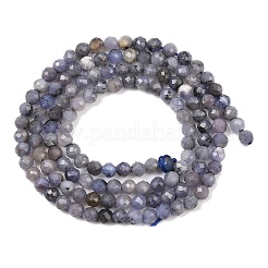 Натуральный танзанит бисер пряди G-C255-A01-3mm