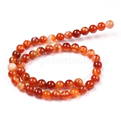 天然バンド /縞aビーズ連売り  染め  ラウンド  ミックスカラー  8mm  穴：1mm  約47~48個/連  14.57''~15.35''（37~39センチメートル）&nbsp;G-G582-A