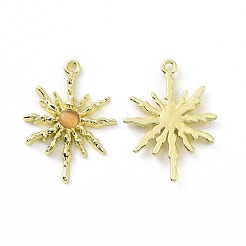 Подвески для кошачьего глаза из сплава PALLOY-D007-08G-D