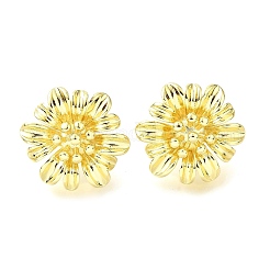 Латунные серьги-гвоздики для женщин&nbsp;LS-EJEW-F365-04LG