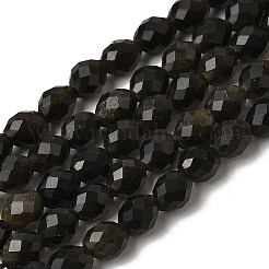 Естественный золотистый отлив обсидиан бисер пряди&nbsp;G-K376-F11-01