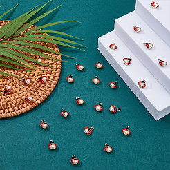 Подвески из сплава 30шт ENAM-HY0002-99