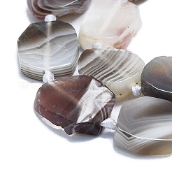 Природные Ботсвана агат бисер нитей G-K245-L03-01