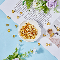 30 комплект латунных заклепок с железной ручкой&nbsp;FIND-FH0008-64G