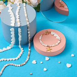 3 нитка 3 стили натуральных пресноводных ракушек SHEL-FW0001-01