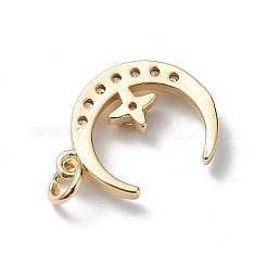Pendentifs avec zircon cubiques à micro-pavés en laiton&nbsp;X-KK-E003-17G