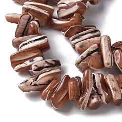 Окрашенные нити натуральных бусин-ракушек трохуса&nbsp;SSHEL-C013-09B