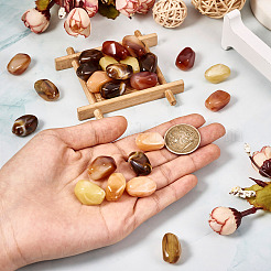 30шт 5 цвета непрозрачные акриловые бусины&nbsp;CRES-TA0001-36