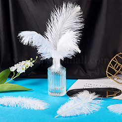 20 шт. 2 стиля аксессуаров для костюма из страусиных перьев&nbsp;FIND-TA0005-96