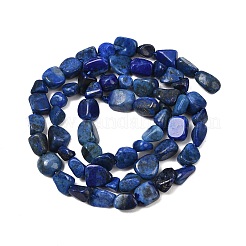 Нитки бусины из натурального ляписа-лазури G-P597-B01-01