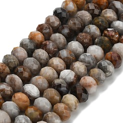 Натуральные гоби-агат нити G-Z111-A55