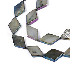 Окрашенные нити бусин из натуральных пресноводных ракушек&nbsp;SHEL-T020-13A