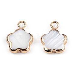 Гальванические подвески из натуральных пресноводных раковин SHEL-N032-218