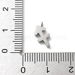304 Edelstahl Micro Pave Zirkonia Charms&nbsp;STAS-Z107-09P-11