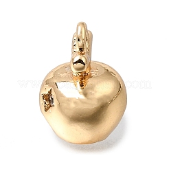 Latón micro pavimenta claro cubic zirconia encantos&nbsp;KK-N290-20G