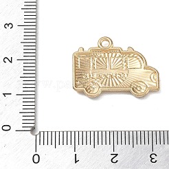 Legierung mit Emaille-Anhängern&nbsp;AL-CBAE84A-02B-01