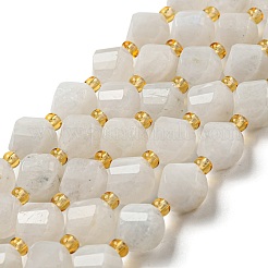 Бусины из натурального радужного лунного камня G-M443-B05-02