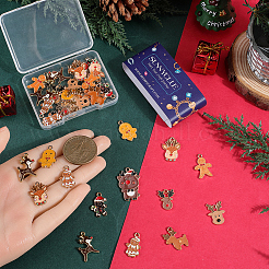 40шт 10 стиля подвески из сплава с эмалью&nbsp;ENAM-SC0005-74