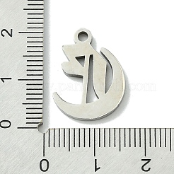 Pendentifs en acier inoxydable 201 anti-ternissement&nbsp;STAS-B055-01P-E