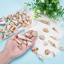 60шт 10 стиля акриловые подвески&nbsp;OACR-PH0004-44