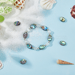 10 шт. бусины из натуральной ракушки пауа&nbsp;SSHEL-FI0001-04