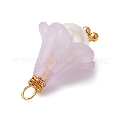 Подвески из акрила с золотой медной проволокой PALLOY-JF03040