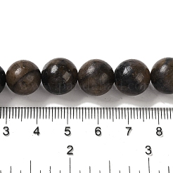 Fili di perle di chiastolite naturale&nbsp;G-Q161-A03-05