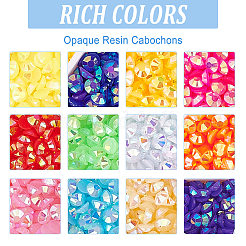 12 Farbe undurchsichtige Harz-Cabochons&nbsp;CRES-PH0001-05