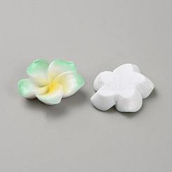 Zwei Ton-Harz-Cabochons&nbsp;LS-RESI-WH20010-01B