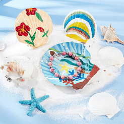 20 шт. 4 вида натуральных ракушек для гребешков SSHEL-PH0001-23