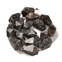 Натуральный флуоресцентный сиенитовый камень (светящийся в ультрафиолетовом свете) бусины нити G-NH0005-B08-01