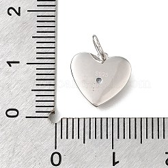 925 стерлингового серебра микро Pave прозрачные кубические циркониевые подвески&nbsp;STER-V001-01P-12