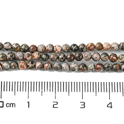 Натуральные леопардовые шкурки из яшмы G-K365-C01-01