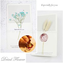 Scrapbook diy&nbsp;AJEW-WH0100-119