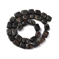 Природного биотита нитей бисера&nbsp;G-D098-D15