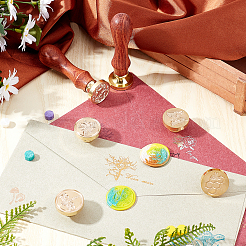 DIY Sammelalbum&nbsp;DIY-CP0006-25