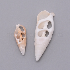 Shell perle naturali&nbsp;SSHEL-WH0002-01
