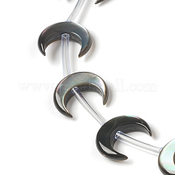 Натуральные черные бусины из ракушек BSHE-B005-14