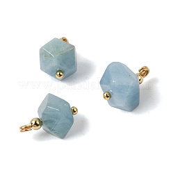Natürliche Aquamarin Anhänger&nbsp;GG-CBACE45-01G-03