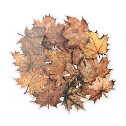 Набор водонепроницаемых наклеек для домашних животных&nbsp;LS-DIY-Z030-01C