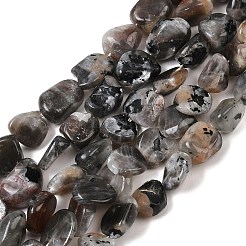 Натуральный лунный камень бисер нитей G-A284-A01-02